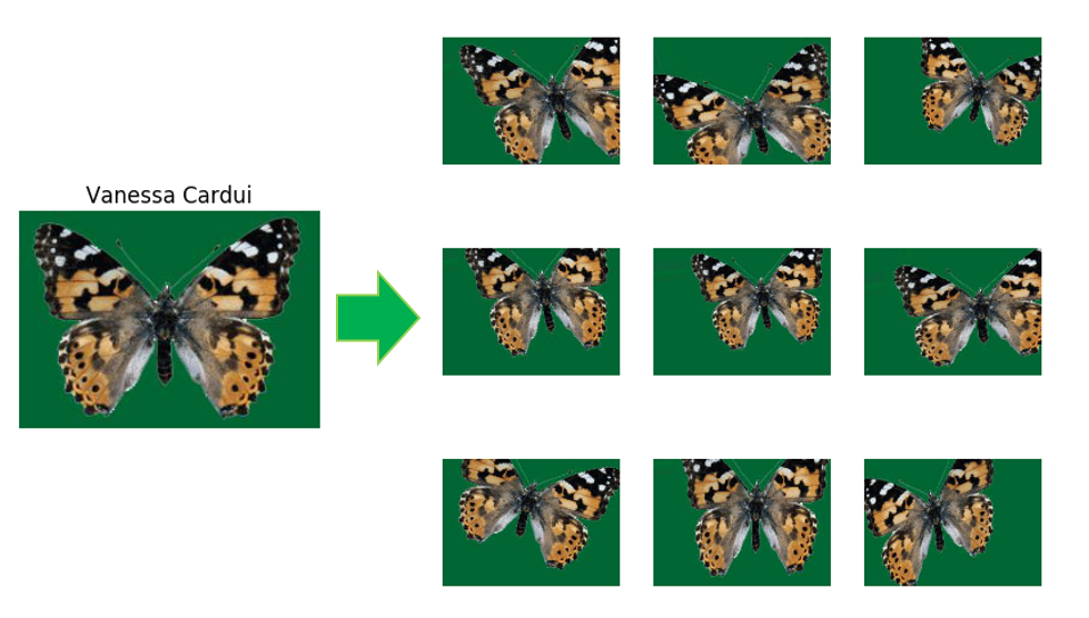 The images used in the datasets underwent the following data ...